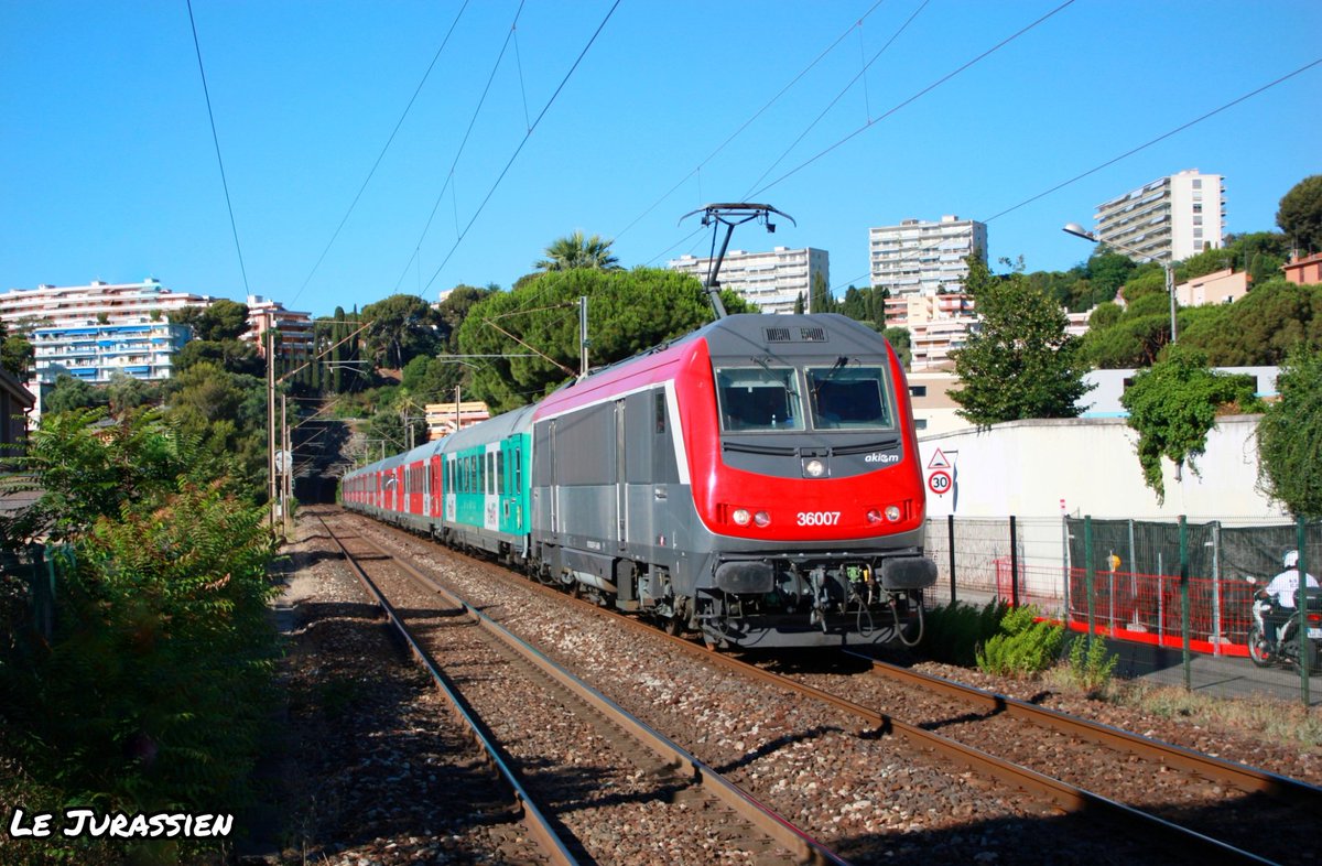 lejeunedutrain's tweet photo. Le dernier
Photo fraîche du jour, dernière circulation pour #Thello sur la Côte d'Azur avec son EuroCity. Le voici ici, a Carnolès peu avant Menton avec la BB36007 qui réalise le Thello #EC139 reliant Nice-Ville a Milano Centrale. 30/06/2021. https://t.co/cpZzGuzEn4