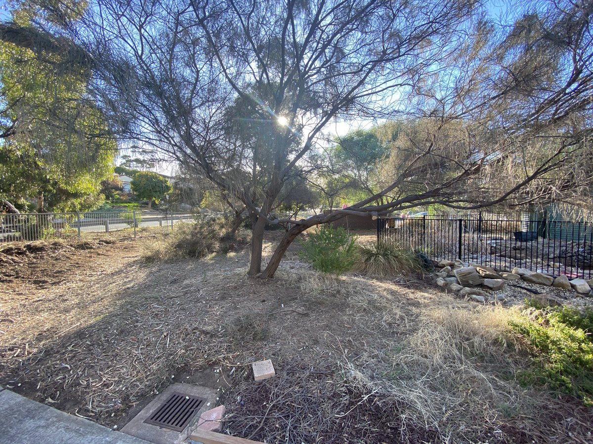 ProjReimaginate's tweet image. The two sides of our Secret Garden are now complete. The transformation is stunning. 

“This is for you, we knew you were coming.” - Beth Herbert. 

#ProjReimaginate