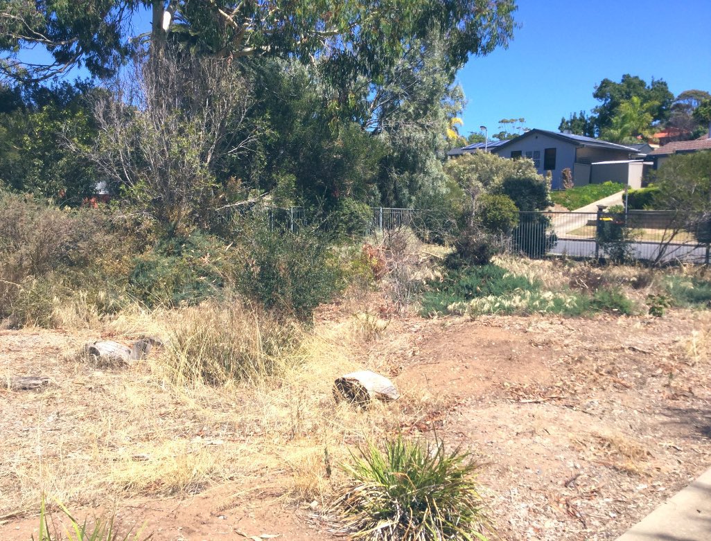 ProjReimaginate's tweet image. The two sides of our Secret Garden are now complete. The transformation is stunning. 

“This is for you, we knew you were coming.” - Beth Herbert. 

#ProjReimaginate