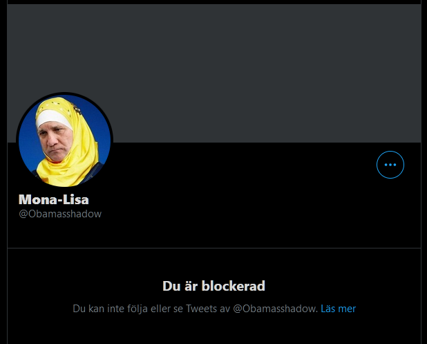 PhaceFact's tweet photo. Här har vi användaren som blir motbevisad om och om igen men väljer att blocka istället för att faktiskt ge källor på det hen påstår. Hade en bra diskus, men hen tappade argument. #covid19 #MonaLisa #Obamasshadow https://t.co/qNBGDh0trd