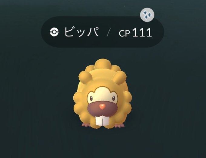 ポケモンgoで 色違いビッパ が話題に ポケgo トレンディソーシャルゲームス ポケモンgoで 色違いビッパ が話題に ポケgo トレンディソーシャルゲームス