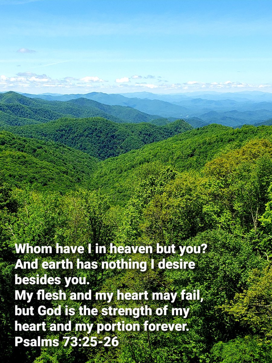 John4_36's tweet photo. Yes Lord! You are my greatest desire! You are the strength of my heart! You are my portion forever! I love You! #deLIGHTinHIM https://t.co/EY8tcRcRsL