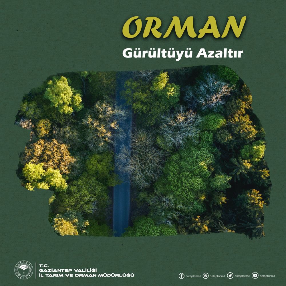 Orman, 
Sağlıktır,Gelecektir,Zenginliktir <a href="/aysinisikgece/">Ayşe Ayşin Işıkgece</a> <a href="/bekirpakdemirli/">Dr. Bekir Pakdemirli</a> <a href="/krm_ustun/">Dr. Kerim ÜSTÜN</a> <a href="/mehmethaditunc/">Mehmet Hadi Tunç</a> <a href="/TCTarim/">T.C. Tarım ve Orman Bakanlığı</a> <a href="/OGMgovtr/">Orman Genel Müdürlüğü</a> <a href="/BekirKARACABEY_/">Bekir KARACABEY</a> <a href="/fatihmetintr/">Fatih Metin</a> <a href="/sururkir/">Sürur KIR</a> <a href="/tobeydb/">Eğitim ve Yayın Dairesi Başkanlığı</a> <a href="/TarimOrmanSgb/">Strateji Geliştirme Başkanlığı</a> <a href="/anteptarimil/">Gaziantep İl Tarım ve Orman Müdürlüğü</a> <a href="/gantepvaliligi/">Gaziantep Valiliği</a> <a href="/ugurerdem_/">Uğur ERDEM</a> <a href="/recepnazli/">Dr. Ali Recep Nazlı</a> <a href="/mustafailmec/">Mustafa ilmeç</a> @TAGEM_ANKARA <a href="/arif273327/">Arif Akpinar</a>