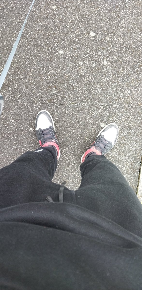 Alexst4's tweet image. 