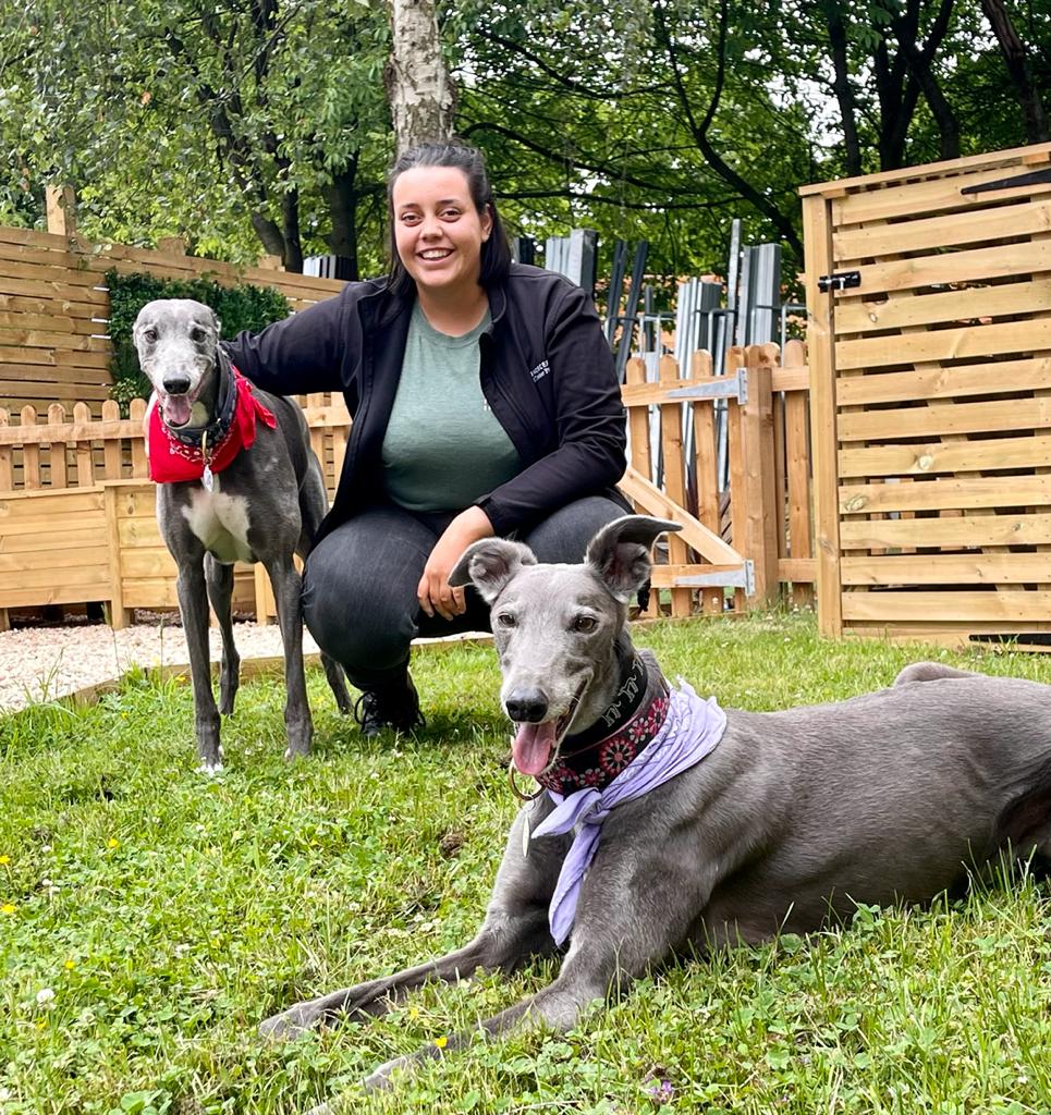 wtp_fences's tweet photo. The pups took over at #timbertowers on Friday for #nationaltakeyourdogtoworkday. Here’s our colleague Megan with Jolie & Charlie who loved our show garden #worcestershirehour https://t.co/KYwmhv38OS
