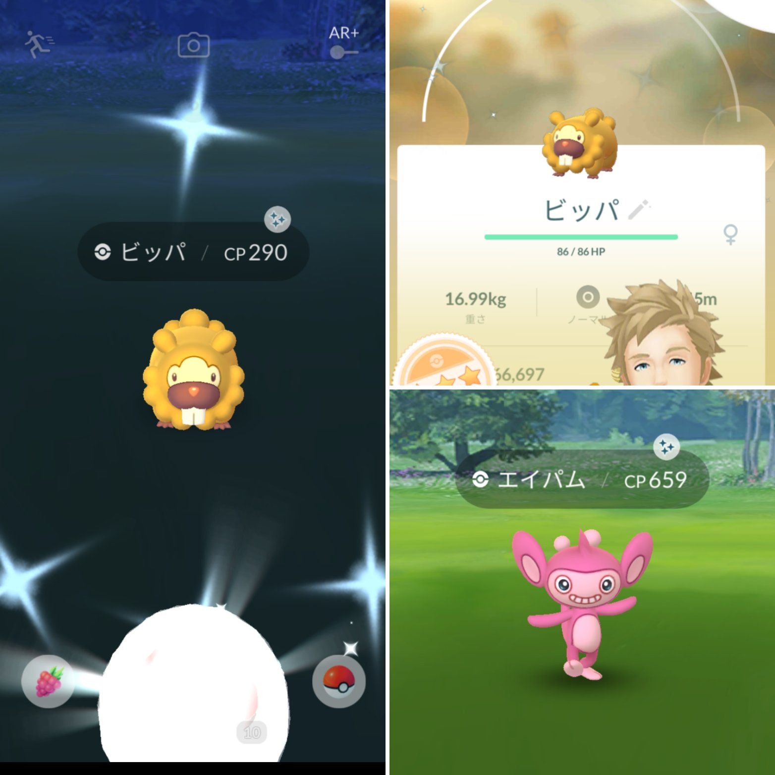 マグサク ビッパ2体目 そろった エイパムは昨夜 お初 いらっしゃいませ ポケモンgo 色違いビッパ 色違いポケモン T Co Tf5arfpolz Twitter マグサク ビッパ2体目 そろった エイパムは昨夜 お初 いらっしゃいませ ポケモンgo 色違いビッパ 色違いポケモン T Co Tf5arfpolz Twitter