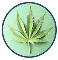 ACFER01's tweet image. #Veranoholdings $VRNOF: OTCQX is a #verticallyintegrated #cannabis company with 78 retail locations operating across 14 states in the US. ~MCAP USD 2.2bn ▼15% m/m ▼30% since 18th Feb 21 IPO. ACF Blog bit.ly/3h3GMIr #ACFView #marijuana @veranocannabis