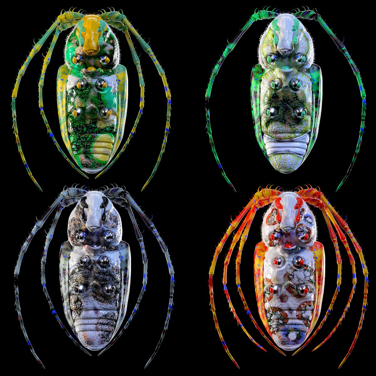 jappari bugs