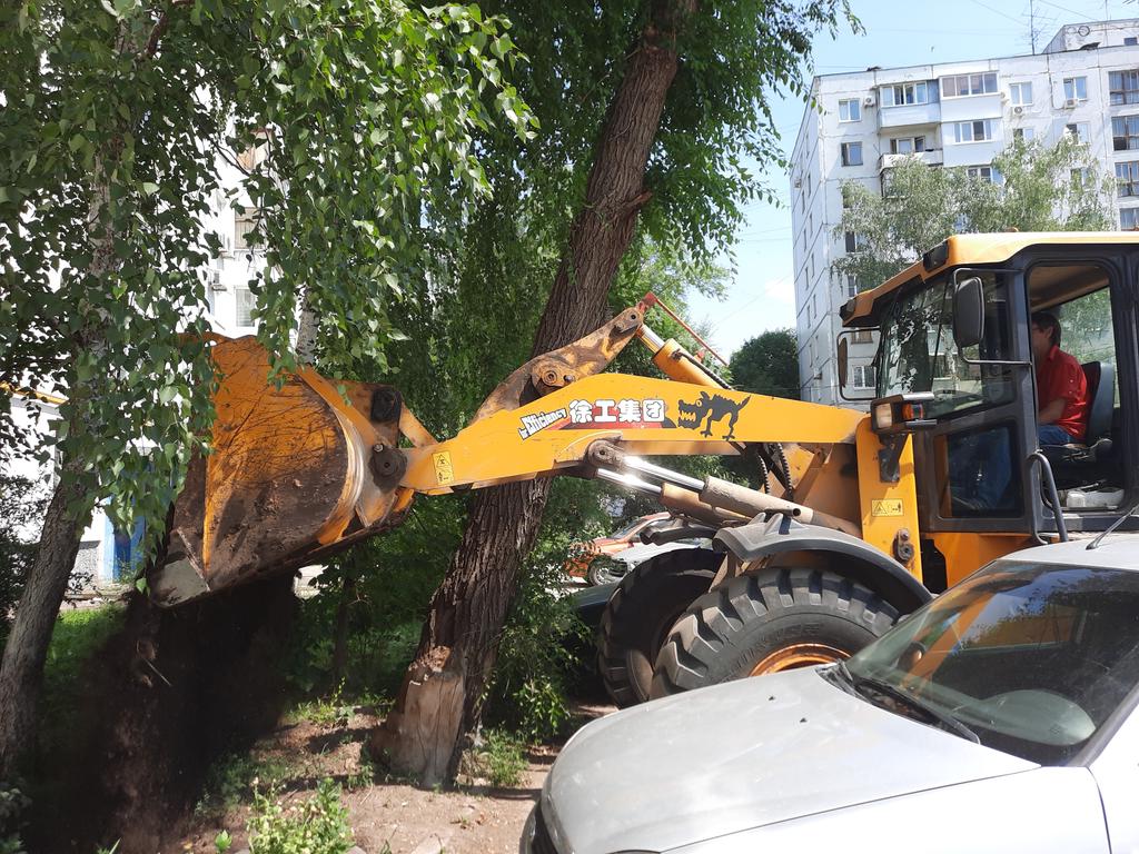 <a href="/osmladya2/">Райф Белла Шлемовна (председатель ТОС Ладья)</a> 
Сегодня  развезли чернозем на придомовые территории по адресам: М-ш 89,111 117,121,129,131
Н-В 136;140;146
Ф-ва 60. Спасибо АО ПЖРТ Пром.района за предост.погрузчик,
водитель Кузьмин П. вертуоз  в своей работе.
Цветоводы счастливы - земля для любимых цветов
<a href="/promadm/">Promadm.samara</a>