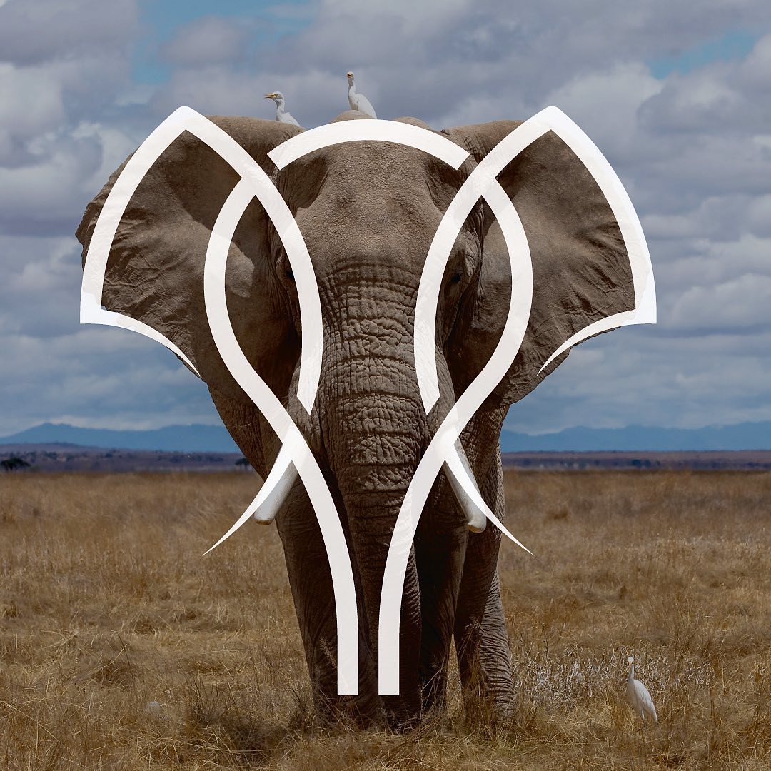 creapills's tweet photo. Des logos inspirés des animaux : un joli travail réalisé par le graphiste suédois Hamed Khan Haidari.

Son Instagram : https://t.co/BcdYLQc6nw https://t.co/iR1YV0FjzZ