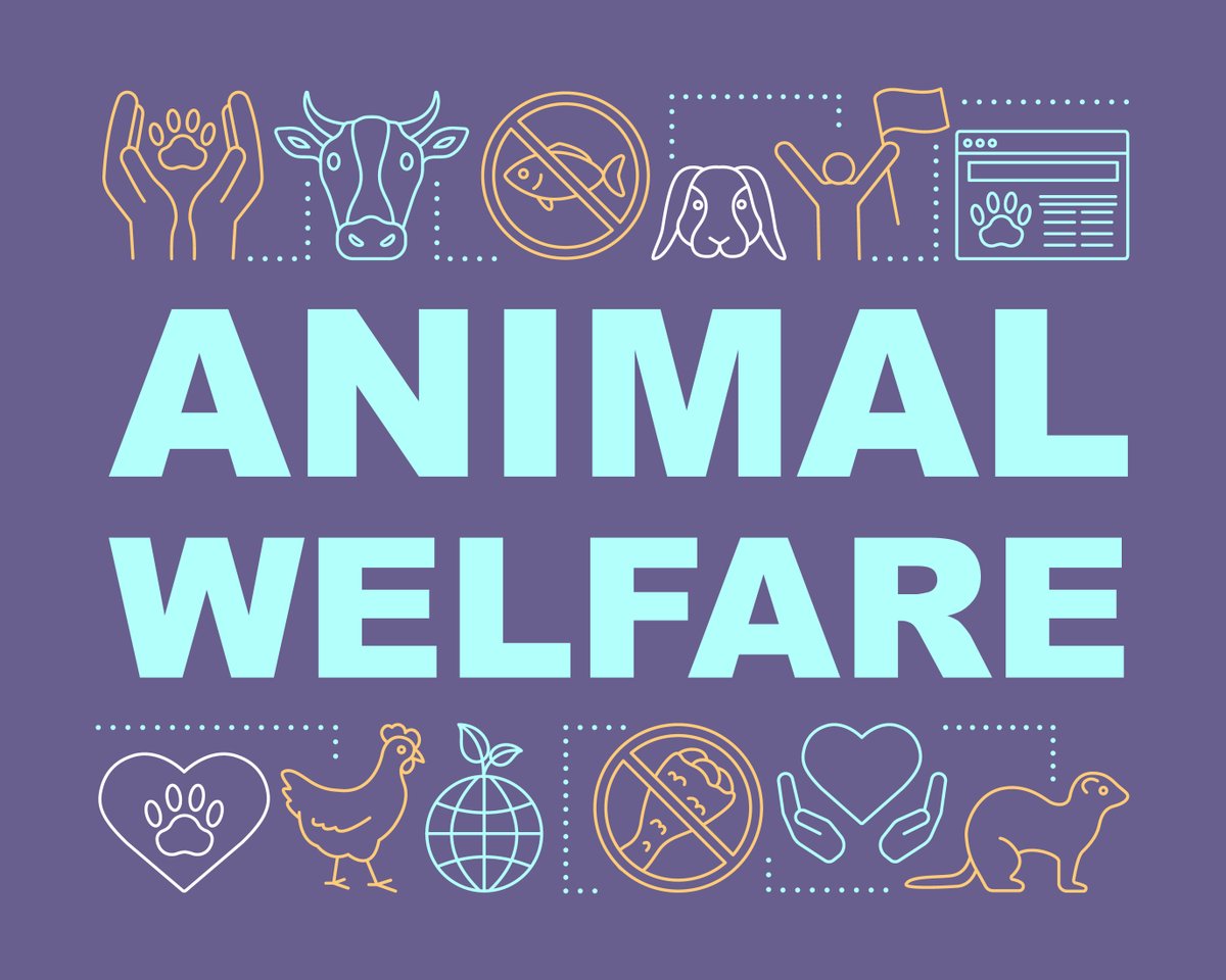 Animals_EFSA's tweet photo. Today #EFSA_EU #SPIDO #Workshop on #OneWelfare: Risk assessment and #Data #Collection in #AnimalWelfare. Thanks to all  experts from #AHAW Panel EFSA #EU #WorldBank #EMA #EU_Commission  #EU_Agri and EFSA colleagues from #AHAW and #SPIDO team. 👌👌 #TeamWork 👌👌 https://t.co/4qSQ2T7Qgn