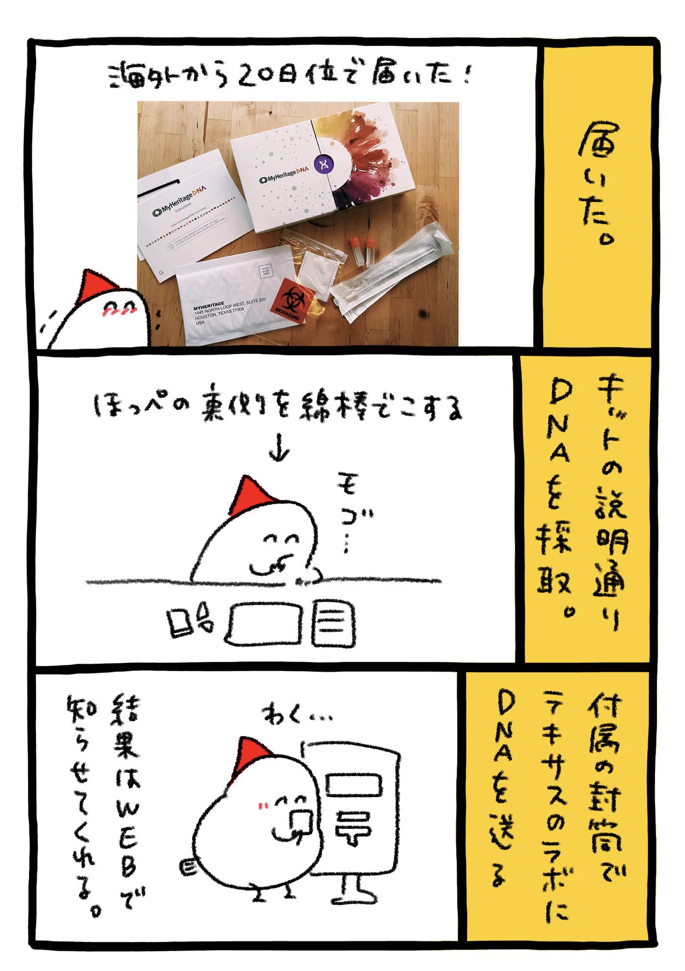 自分のDNAがどの地域に由来しているかわかるテストキット！好きな国にルーツがあるかも？！