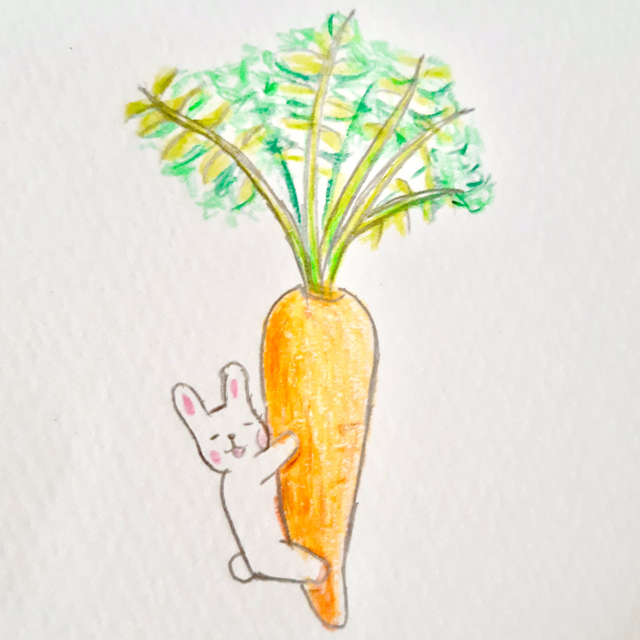 うと うさぎさんとにんじん イラスト 絵 アナログイラスト うさぎ にんじん 人参 落書き イラスト好きな人と繋がりたい 絵描きさんと繫がりたい 色鉛筆イラスト うとぎゃらり T Co Vrsopcmphs Twitter うと うさぎさんとにんじん イラスト 絵 アナログイラスト うさぎ にんじん 人参 落書き イラスト好きな人と繋がりたい 絵描きさんと繫がりたい 色鉛筆イラスト うとぎゃらり T Co Vrsopcmphs Twitter