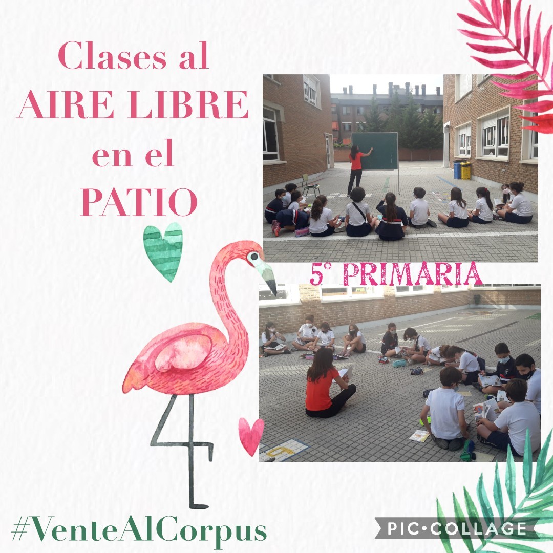 ColegioCorpusChristi tweet media