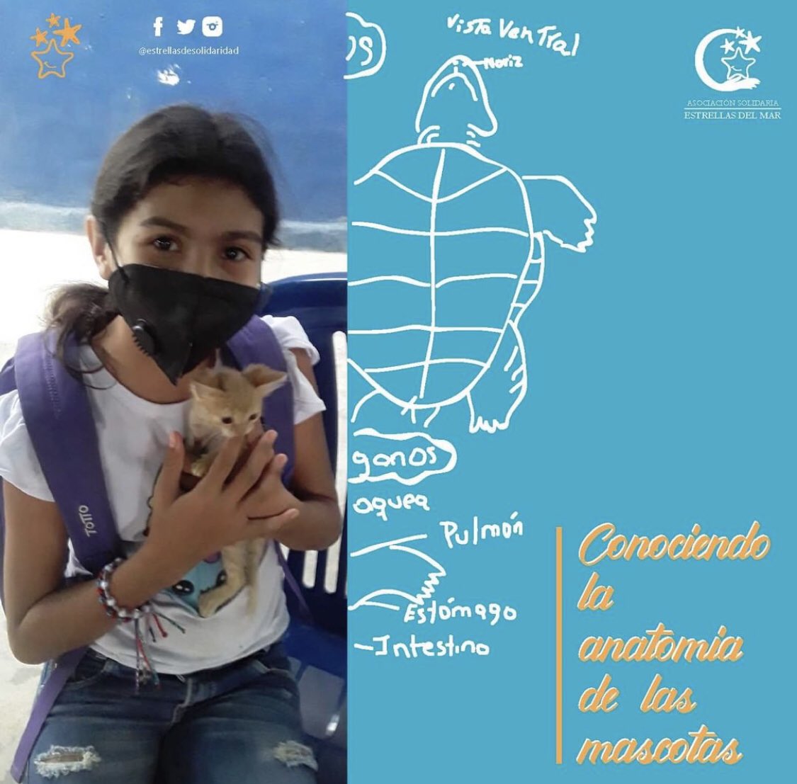 estrellasdesol1's tweet photo. Como una manera de cerrar el segundo momento pedagógico del año escolar, asesoras de 5to y 6to grado organizaron en ASOVIED una actividad especial titulada “Conociendo la anatomía de nuestras mascotas” . https://t.co/o8dGkd4o2M
