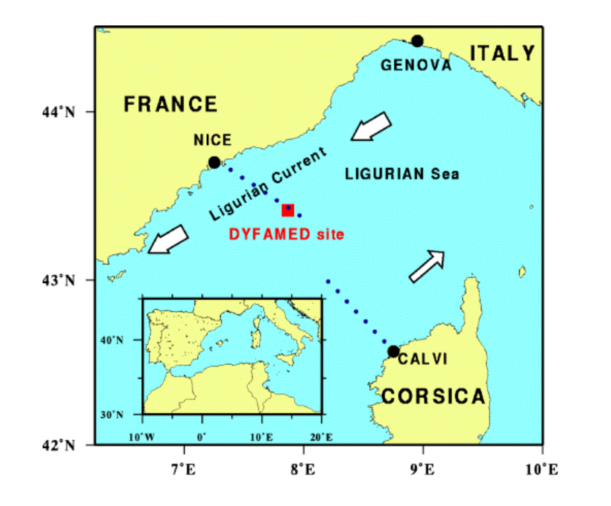 EurOBIS_VLIZ's tweet photo. #NewDataset
- 5K+ occurrences from the #DYFAMED point
- 80+ #plankton #taxa
- counts & sampling #FAIRdata in #EventCore
-- available via https://t.co/Fhjpt8MiKB
📷: @LovLabo
@jmeesvliz @EMODnet #Biology @IMEV_mer @LifeWatchVLIZ @OBISNetwork #mediterranean #mediterraneansea https://t.co/lYNQaXZaHf
