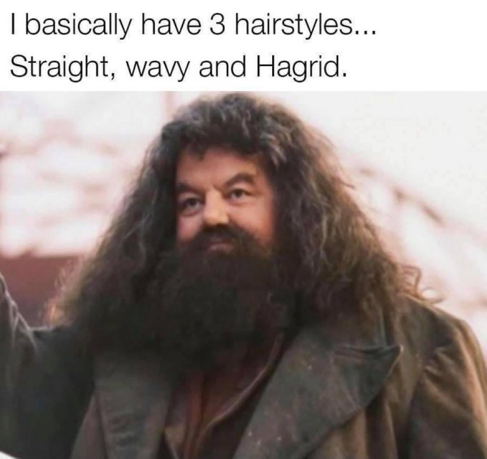 TheDailyHPotter's tweet image. No in-between 🤣