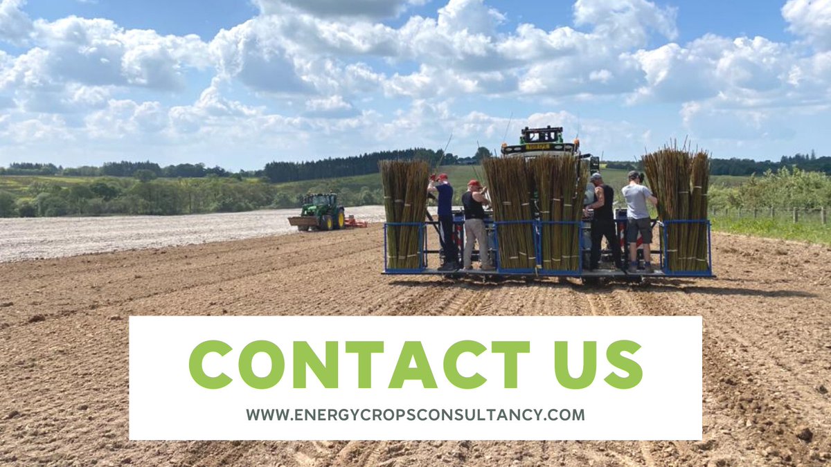 EnergyCropsUK's tweet photo. If you're interesting in growing your income and want to plant #EnergyCrops next year, contact us to discuss your requirements and get your land in its best condition! #landpreparation #cropplanting #planting #landprep #ukfarming #farming #farmland https://t.co/nTQGySQuxO