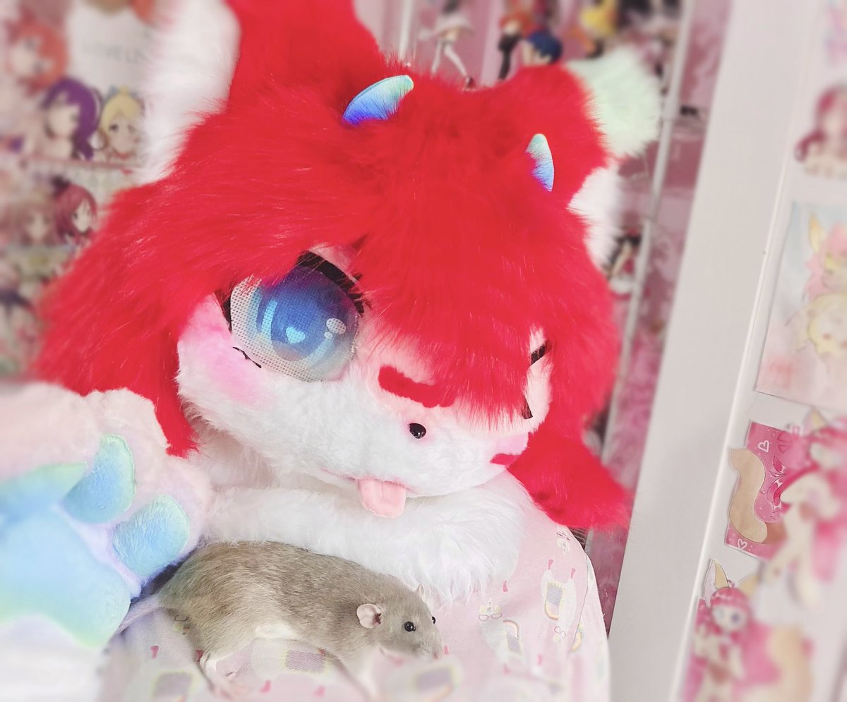 Satokochii's tweet photo. rat vibes only rat vibes only (and chinchillas but yknowwwww)
ft me shitting myself that kaiyo would pee on me <3
#kemono #furry #fursuit #kemonofursuit
🎨 @/Tio_factory https://t.co/jQVrZtQVVL