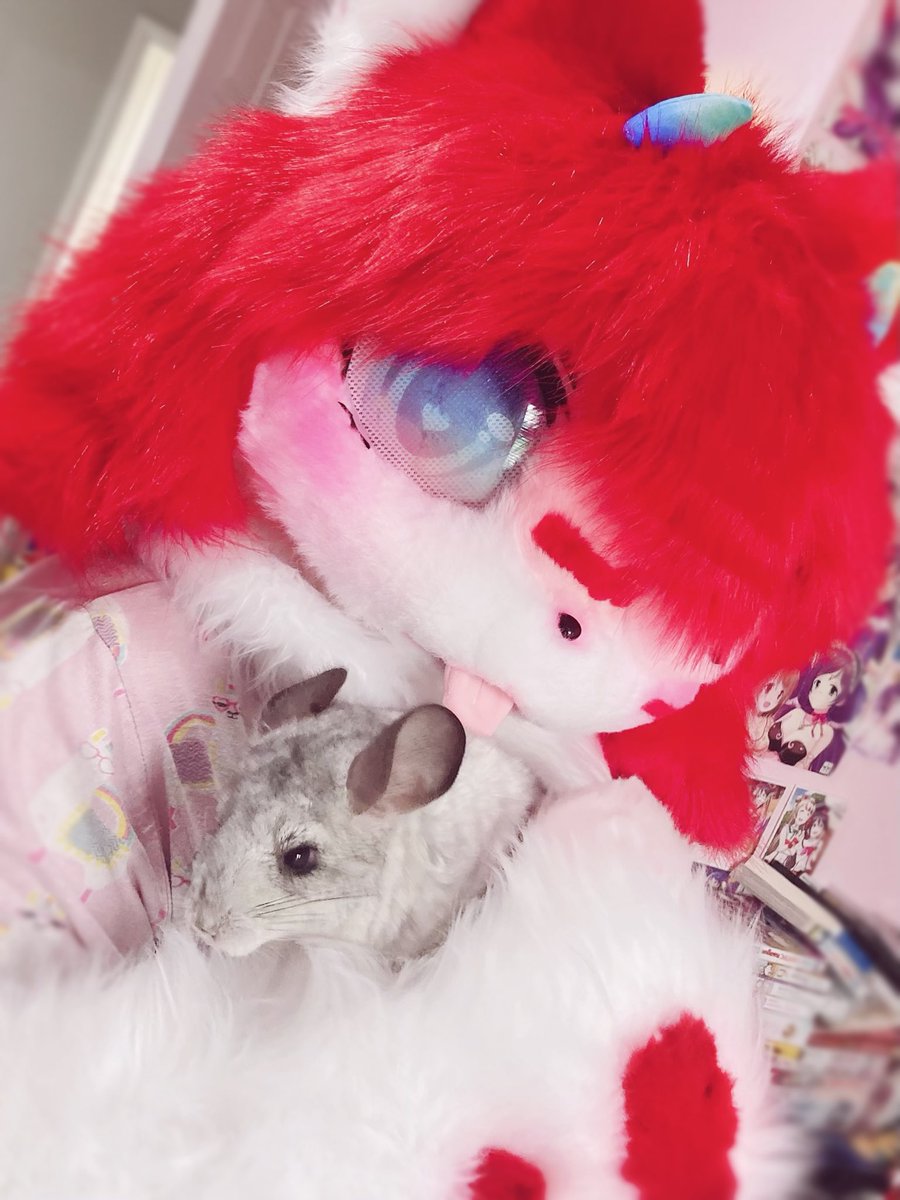 Satokochii's tweet photo. rat vibes only rat vibes only (and chinchillas but yknowwwww)
ft me shitting myself that kaiyo would pee on me <3
#kemono #furry #fursuit #kemonofursuit
🎨 @/Tio_factory https://t.co/jQVrZtQVVL