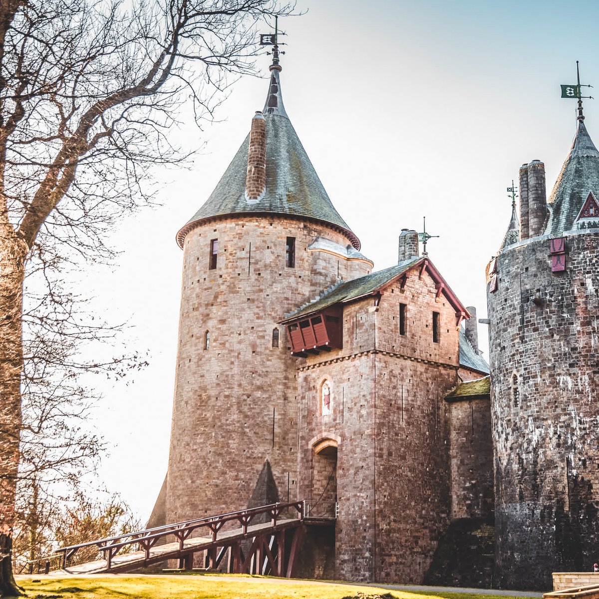 CineMerse tweet media