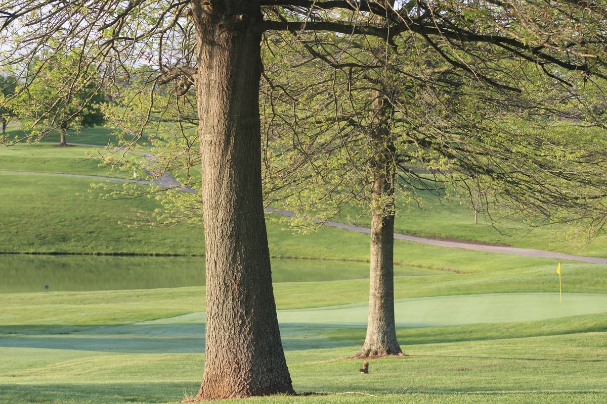 Let the battle for spots in the Kentucky Open begin! Gibson Bay Golf Course has the honor of hosting the first of five qualifiers that'll take place across the state the next few weeks.

Follow the scores from Richmond here: ow.ly/JYgg50FlHFk
