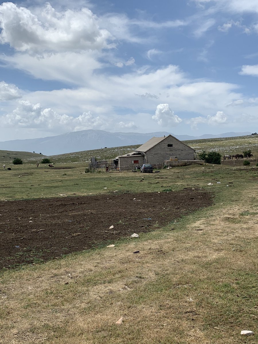 Nikolaus Josef Neumaier tweet media