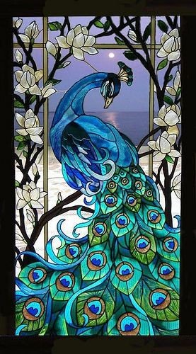 Bom dia from this peacock https://t.co/9CymJcCWkb