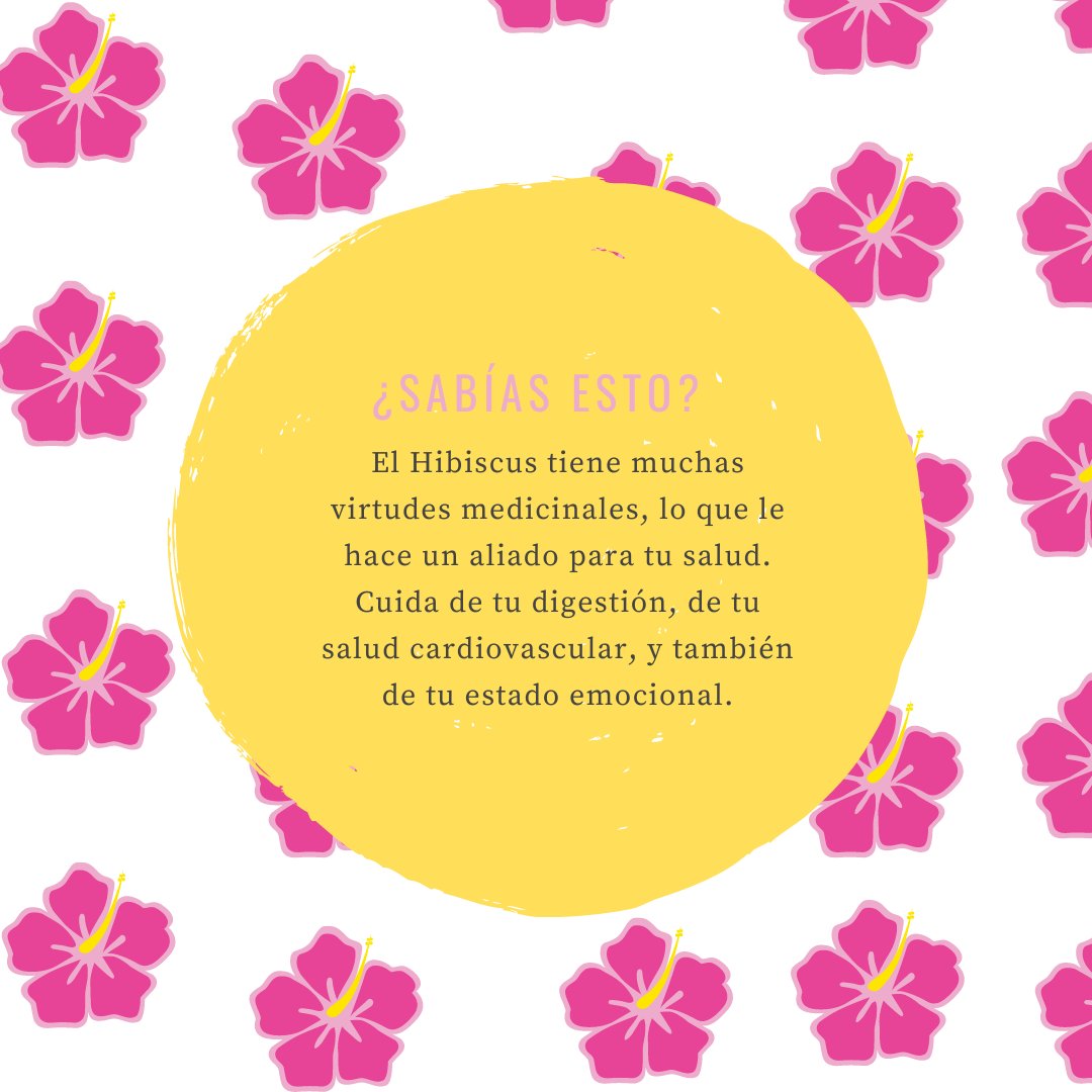 Nuestras infusiones son mucho más que una delicada bebida. Son ecológicas y podemos obtener muchos beneficios de ellas.
.
.
.
##Vitaldibe #infusión #ecológico #eco #hibiscus #propiedadesmedicinales