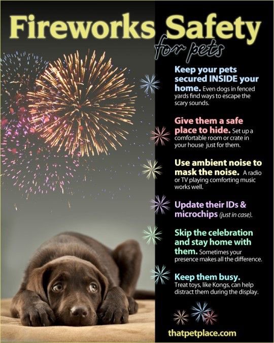 What are your #FourthofJuly plans?! Here are some helpful #tips for your #pets