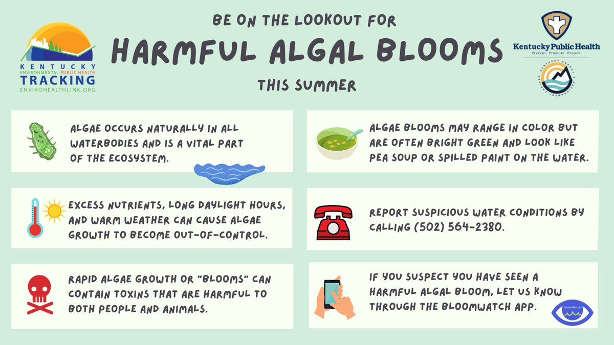 EnviroHealthKy's tweet photo. If you think you may have seen a harmful algal bloom in your area, report it!  Contact our friends at the Kentucky Energy and Environmental Cabinet 502-564-2380. #KyAlgal #KyData https://t.co/OsCwjKy83s