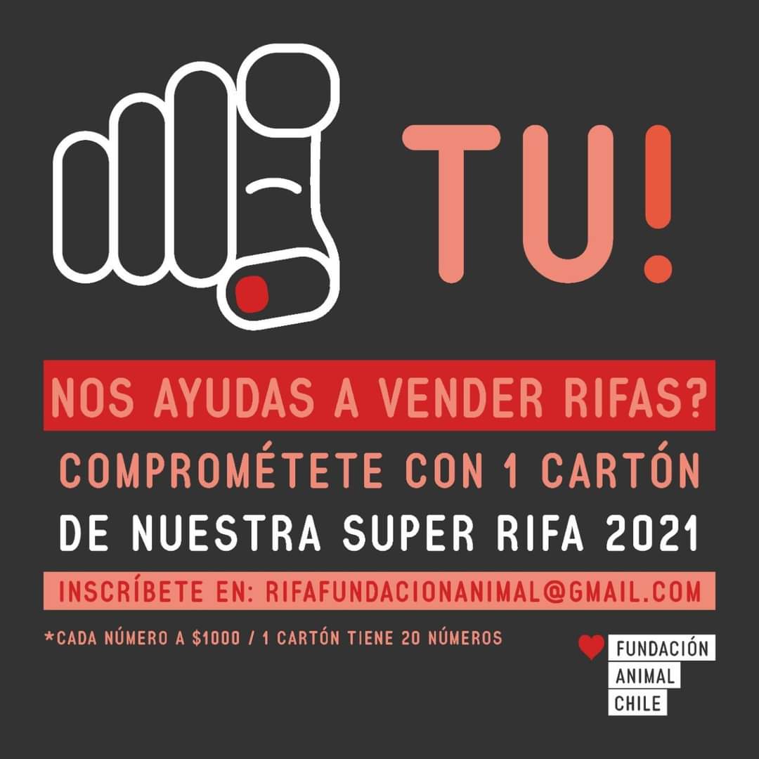#RIFA! 
Quieres ser voluntario?
Nos ayudas a vender N°?
Esta rifa solo tiene premios que sean experiencias: cursos, clases, talleres, etc.
Pide tu(s) cartón(es) a: rifafundacionanimal@gmail.com y sigamos ayudando a los animales que nos necesitan!
Los premios están buenísimos!