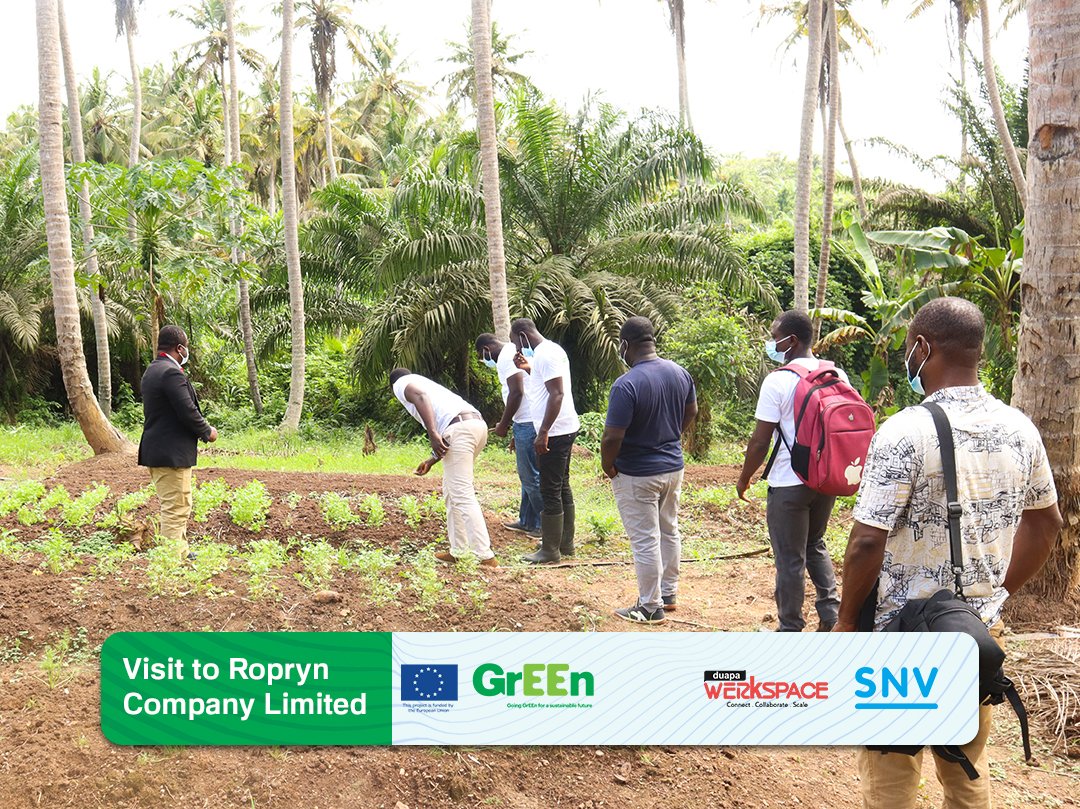 DuapaWerkspace's tweet photo. Our @SNVGhana GrEEn incubates made a trip to @ropryn Company Limited over the past week. Ropryn company limited  is a supplier of fresh fruits and vegetables with the aim of meeting growing demand of high end supermarkets. https://t.co/zwMdjfsrX1