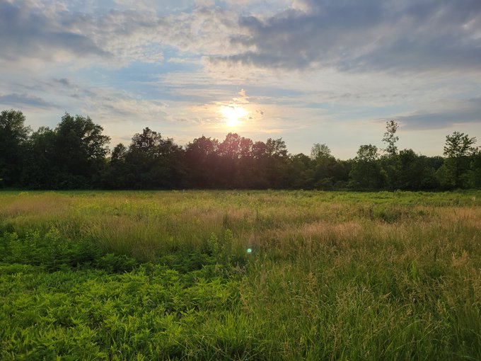 Sunset , why I live out in the middle  of this https://t.co/4TVzO1MVbV