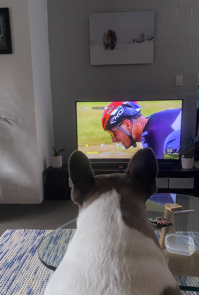 Dixie on the edge of her seat hoping van Moer can hang on for the stage win #couchpeloton #SBSCycling #TDF2021