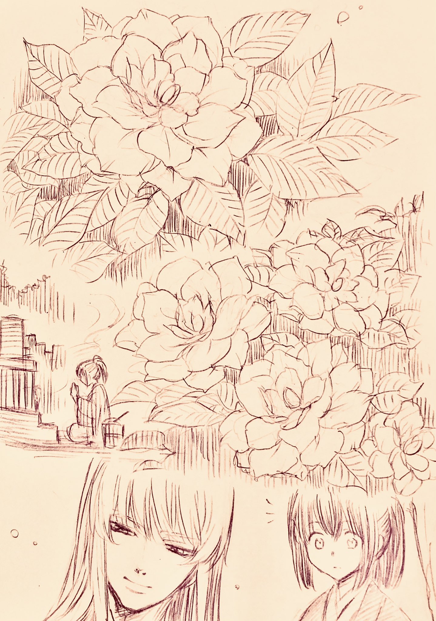 Kisakisa Pixelchis Twitter