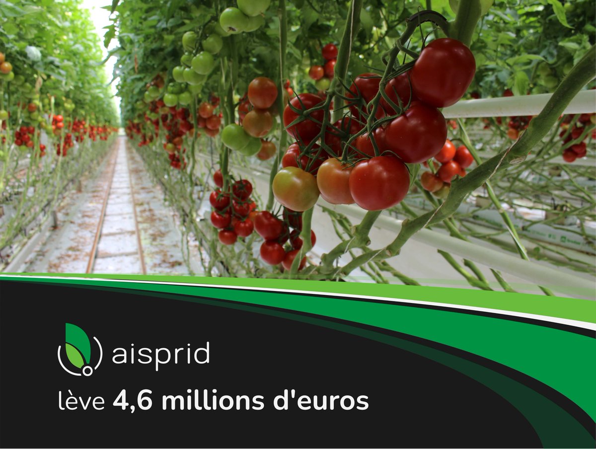 4,6 millions d'euros : c'est le montant de la première levée de fonds réalisée auprès de nos investisseurs et partenaires bancaires, pour accélérer le développement de notre solution robotique de récolte de précision #agtech #Horticulture #deeptech #Robotics
