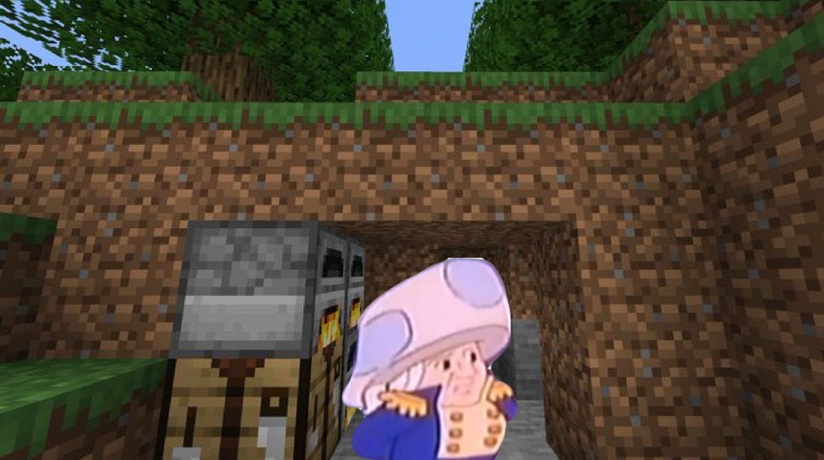 WashingToad_P's tweet image. wow what a nice quaint little abode to help me survive the night in the wonderful world of minecraft