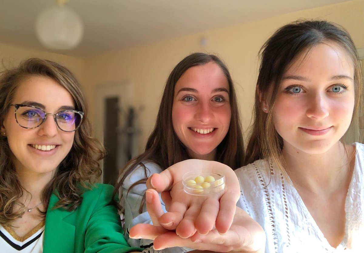 Aurélie Campan, Océane Pouvreau et Anne-Laure Legrand, étudiantes à <a href="/Polytech_Angers/">Polytech Angers</a> ont remporté le Prix de l’initiative du <a href="/CreditAgricole/">Crédit Agricole</a>, dans la catégorie #entrepreneuriat, jeudi 10 juin. 
Pour tout savoir sur leur projet 👉univ-angers.fr/fr/vie-des-cam…