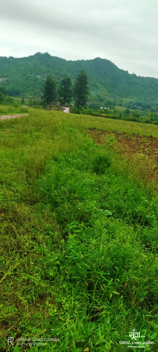 goonj's tweet photo. People of #Peddapadu village of #Visakhapatnam, came together to build themselves a 600 meters long #canal for irrigating their crops. This will have a multiplier effect on the well being and sustenance of the community
#DignityForWork https://t.co/pSU7oADvLI https://t.co/LL21WWauq6
