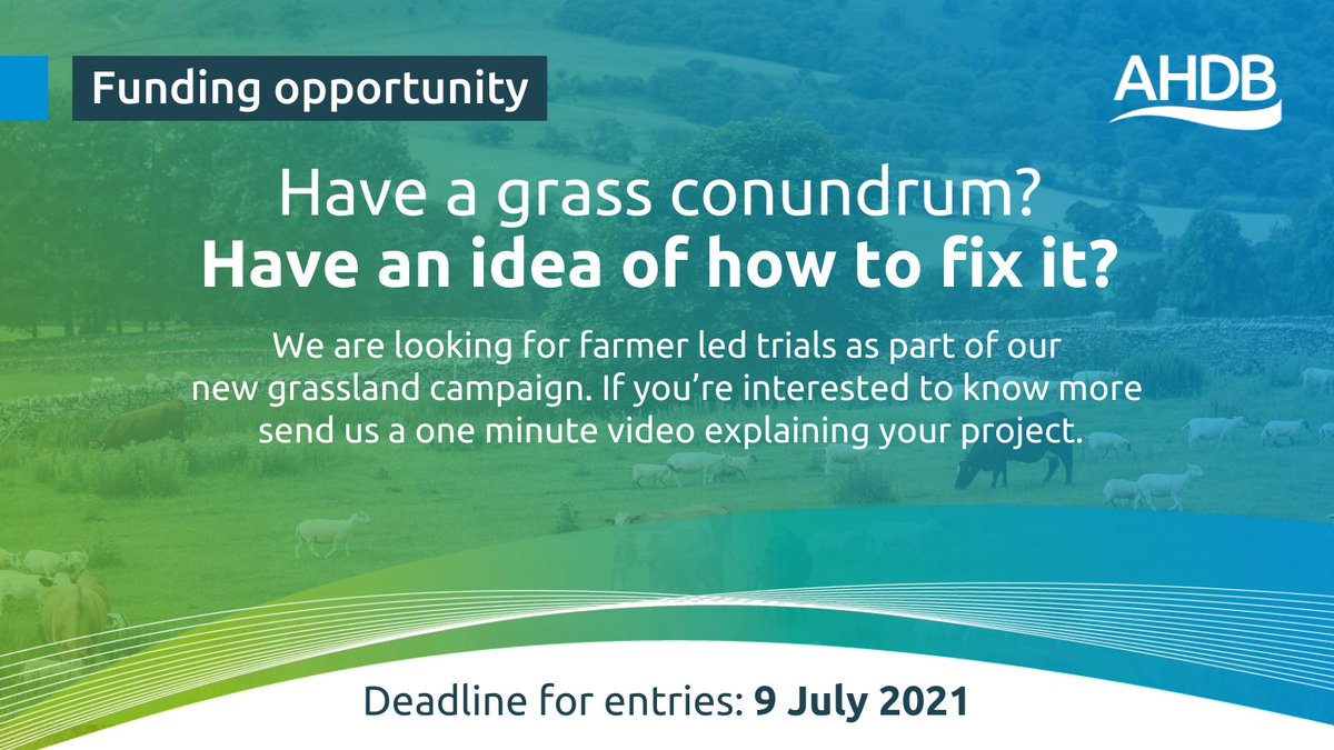 AHDB_BeefLamb's tweet photo. Is there a grass trial you'd like to test on your farm? As part of our new grass campaign we're helping fund small try-outs and sharing results with other farmers. So whether it’s manure composting or introducing legumes into an existing ley - this is your chance! DM us for info https://t.co/J1Maw7C8n3