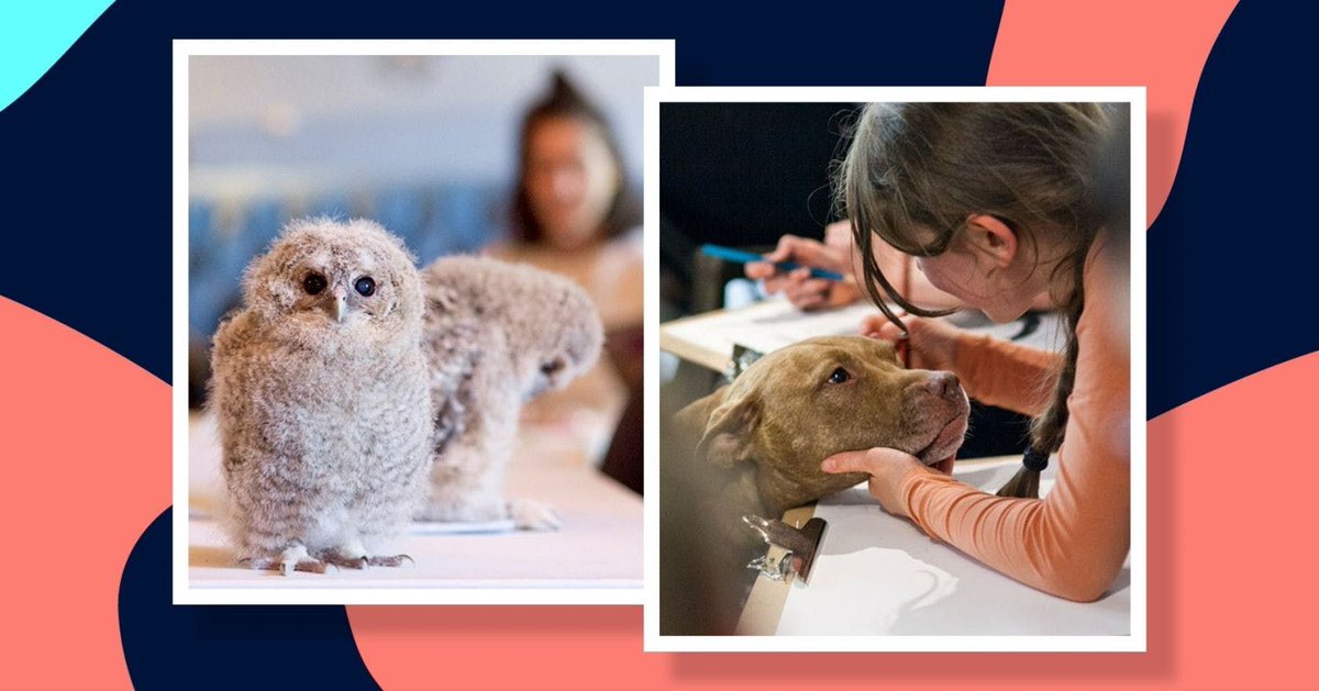 Stylist Magazine (@stylistmagazine) on Twitter photo Is your pet as pretty as a picture? Here's <a href="/WildDrawing/">Wild Life Drawing</a>'s guide to creating a perfect pet portrait buff.ly/2TfcSYW Is your pet as pretty as a picture? Here's <a href="/WildDrawing/">Wild Life Drawing</a>'s guide to creating a perfect pet portrait buff.ly/2TfcSYW