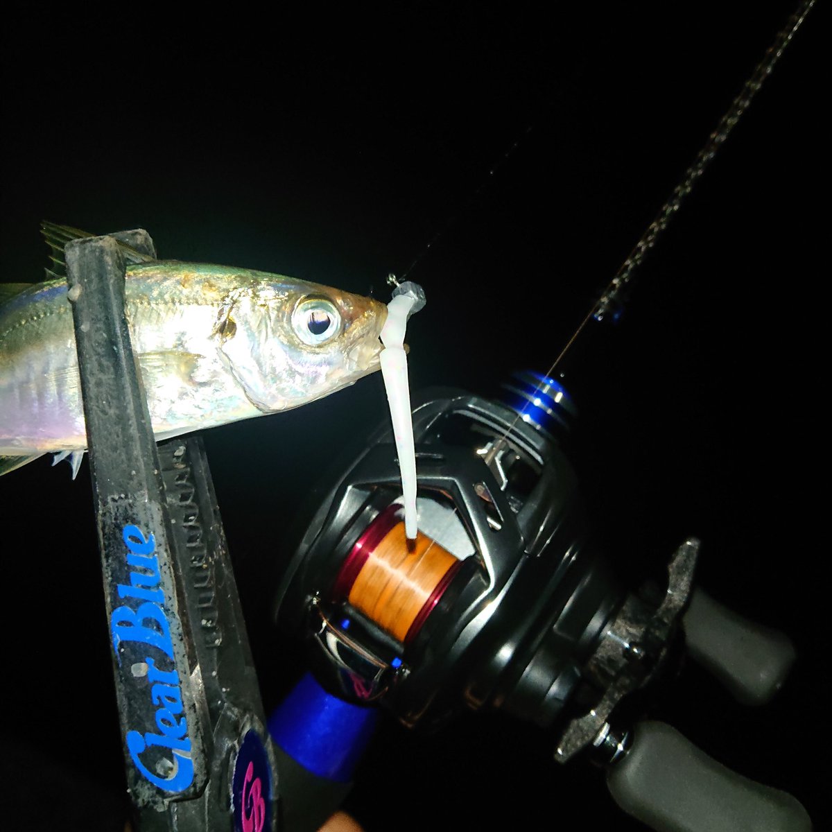 Funa Clearblue フィールドスタッフ Shin Ajing Cb Twitter Funa Clearblue フィールドスタッフ Shin Ajing Cb Twitter