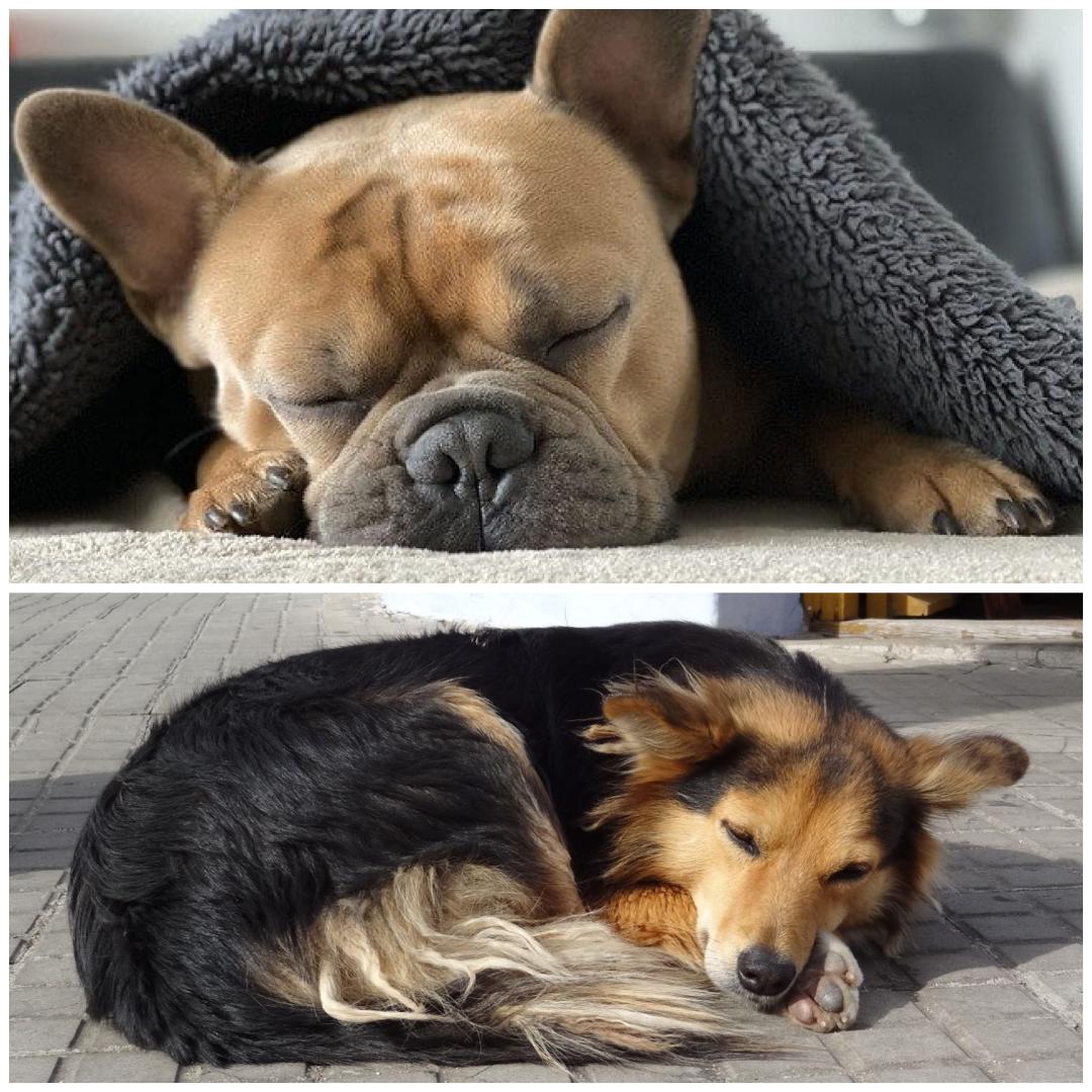 Cadena 3 Argentina tweet media