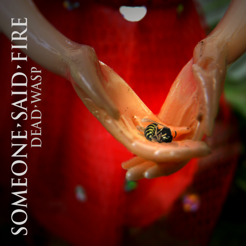 SomeoneSaidFire's tweet image. Our 2013 EP Dead Wasp (also featuring the single Concerning Dasein) is now available on all streaming sites 🐝

Go get reacquainted 👇

Spotify: bit.ly/SpotifySSF
Apple Music/iTunes: bit.ly/AppleSSF
Deezer: bit.ly/DeezerSSF
Tidal: bit.ly/TidalSSF