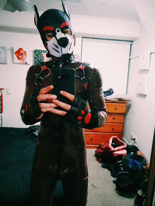 Pup triez latex ?? #bdsm #kink #fetish #latex #pupplay #puppyplay #petplay #humanpup #humanpuppy https://t