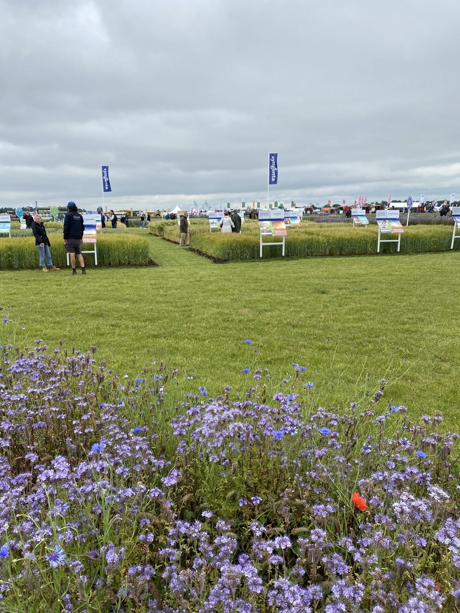 Glas Data tweet media