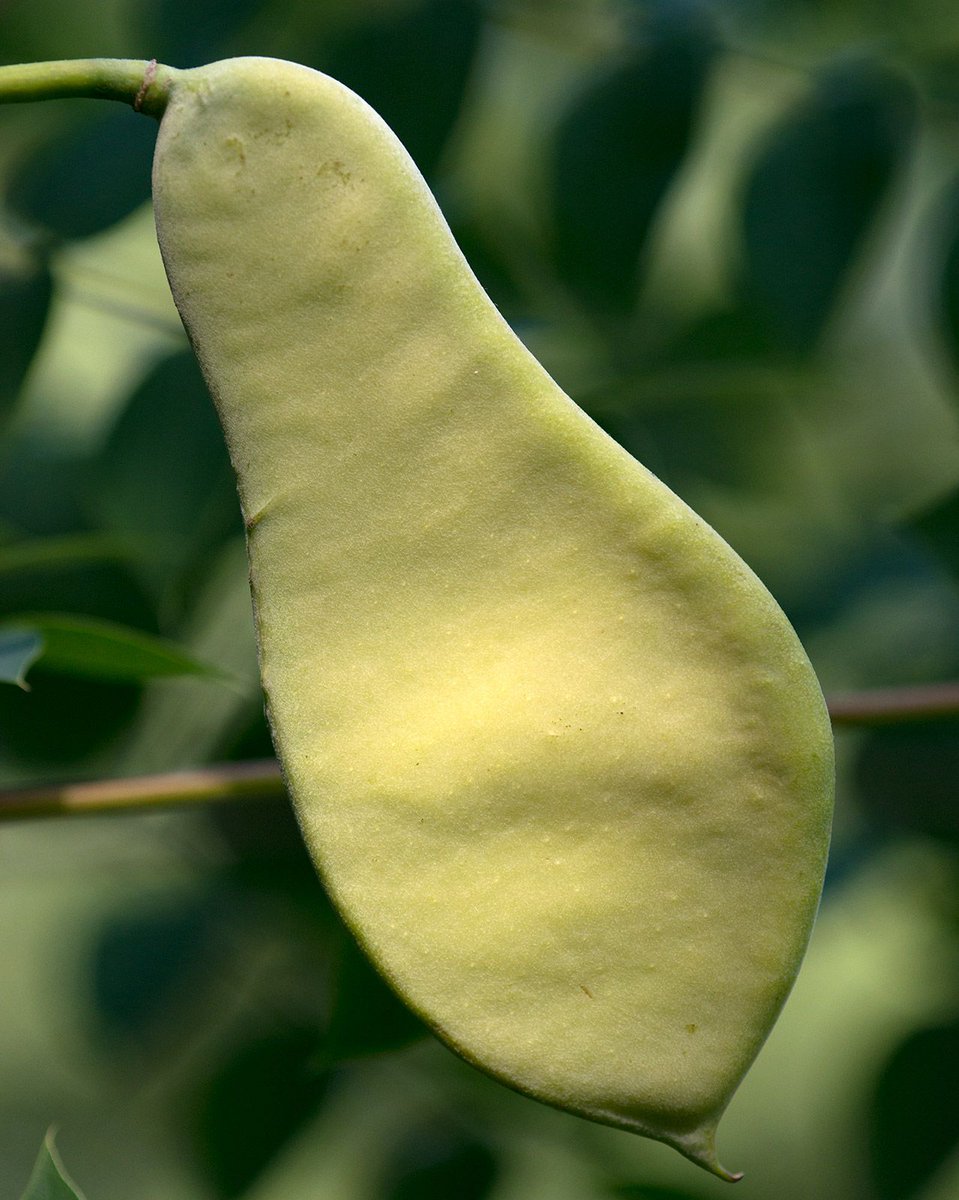 Long Point Basin Land Trust tweet media