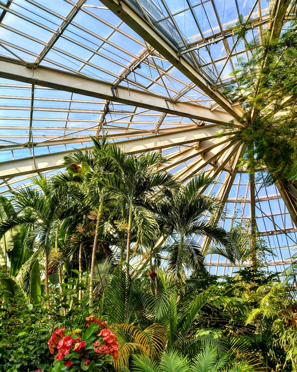 EtwTerp's tweet photo. "Objectif Thalès "
La verrière de la serre du Parc Phoenix, Nice, juin 2021
#thales #proportionnalite #paralleles #regarddegeometre #mathartist #mathpic #mathlover
⬇️⬇️⬇️
https://t.co/j0chuk9GYX
Rendez-moi visite sur Instagram:
➡️ https://t.co/1OVKVNPI8n https://t.co/W9Qlj8mYTZ