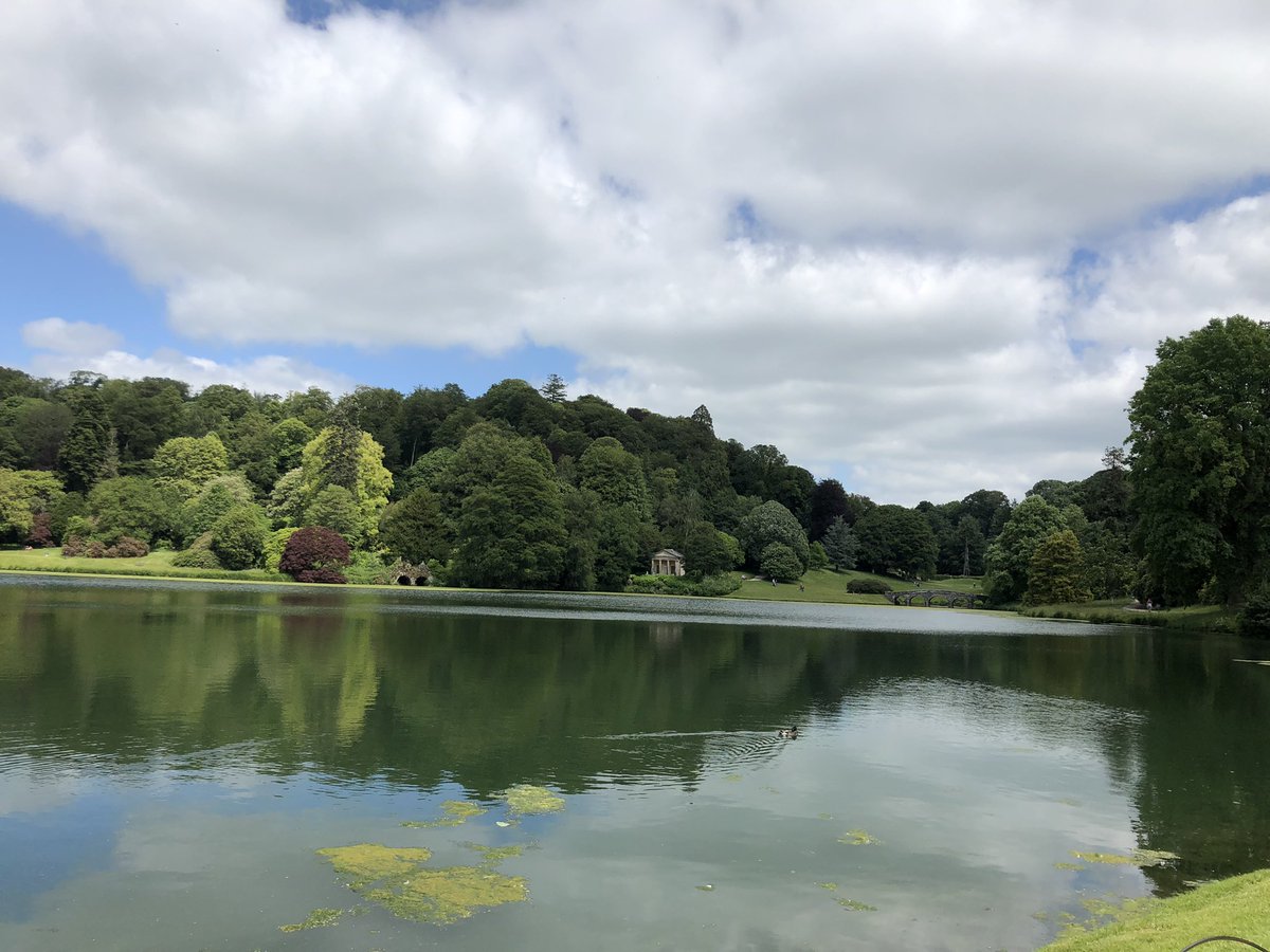 Fiona Smith tweet media